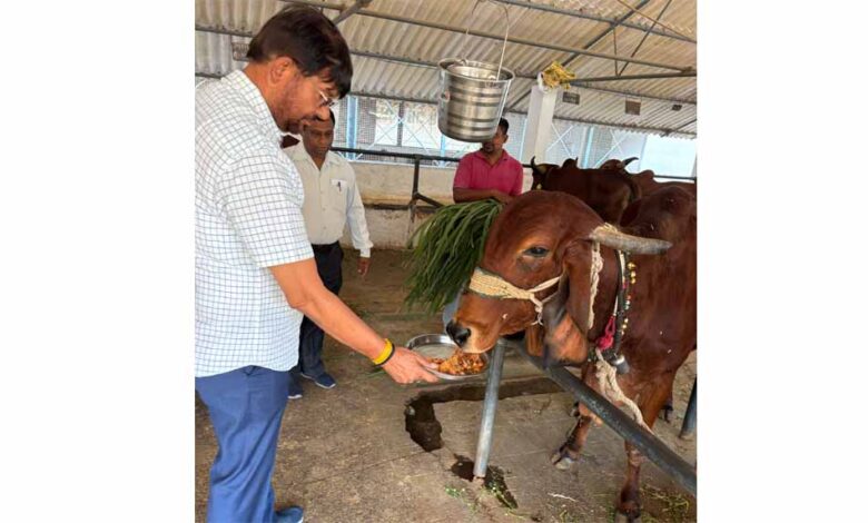 पशुपालन राज्य मंत्री श्री पटेल द्वारा बुल मदर फार्म का निरीक्षण