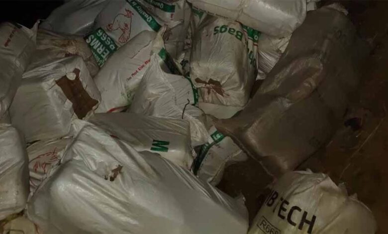ग्राम गिरूई खुर्द में पुलिस ने एक बड़ी कार्रवाई को दिया अंजाम, पकड़ा तीन करोड़ का लावारिस गांजा